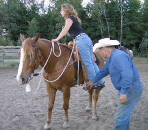 zstirrup.jpg